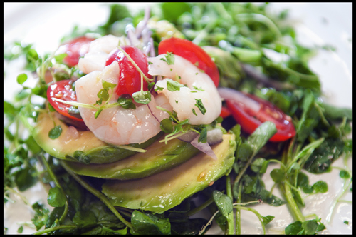 Watercress Shrimp Salad